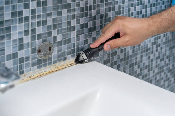 Professional Mold Removal in Littlestown, PA